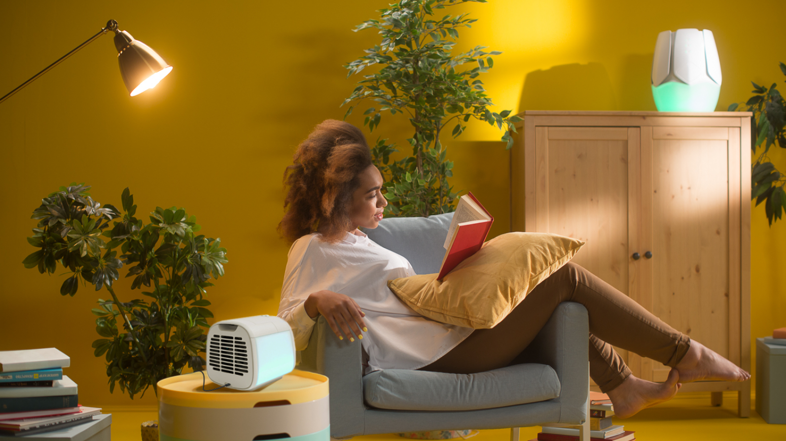 Polar Breeze Portable Air Cooler Reviews & Alternatives