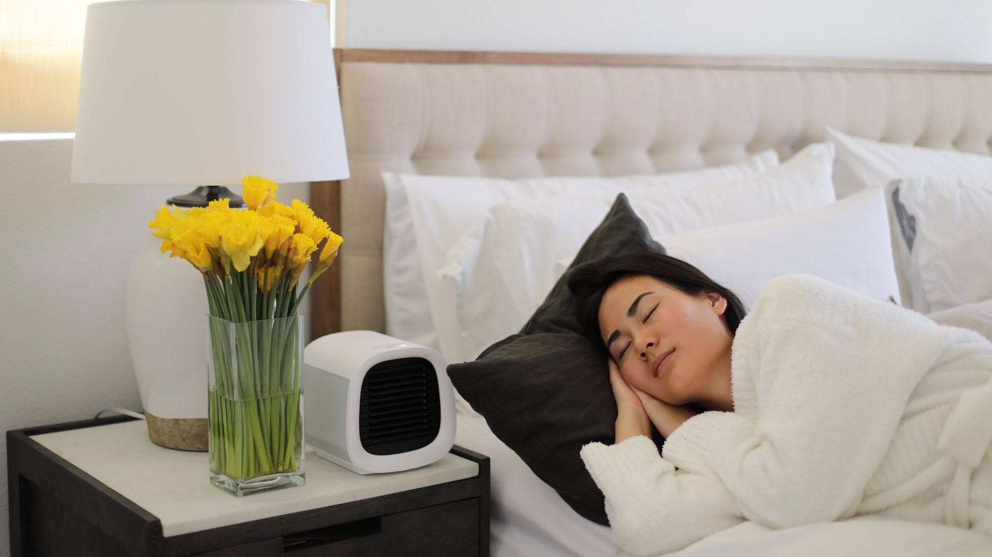 Top 7 Best Smallest Air Coolers in 2025 - Evapolar