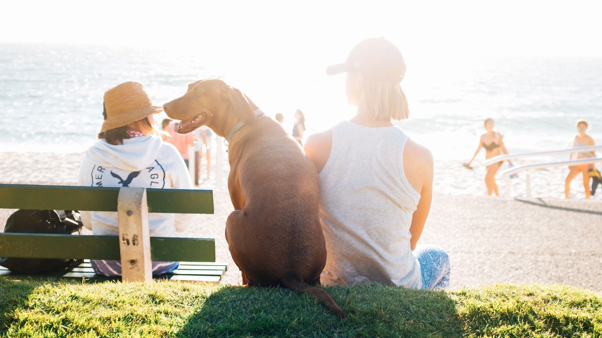 10 Hot Weather Safety Tips